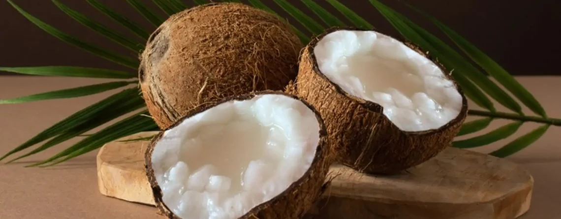 Macapuno Kokosnuss aus Vietnam