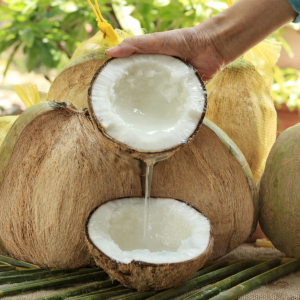 Macapuno Kokosnuss aus Vietnam