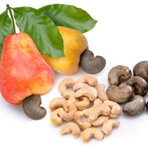 Frische Cashewfrucht und Cashewkerne als natürliche Zutat aus Vietnam