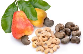 Frische Cashewfrucht und Cashewkerne als natürliche Zutat aus Vietnam