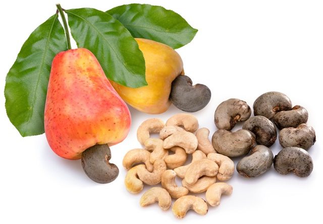 Frische Cashewfrucht und Cashewkerne als natürliche Zutat aus Vietnam