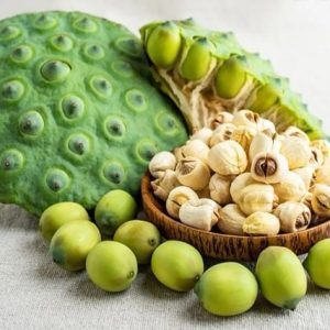 Frische Lotusfrucht und getrocknete Lotuskerne als natürliche Zutat aus Vietnam