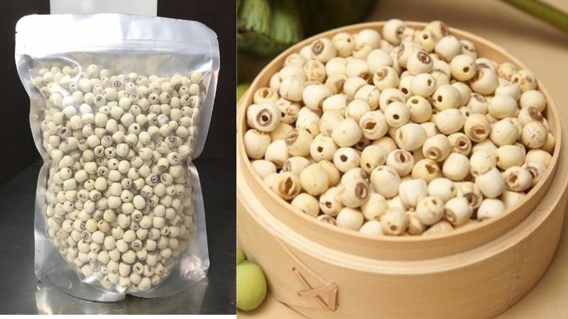 Lotussamen sollten richtig gelagert werden, um ihre beste Qualität zu bewahren