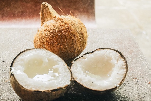 Die macapuno kokosnuss (Dừa sáp) ist eine besondere Form der vietnamesischen kokosnuss, bei der das Fruchtfleisch dick, weich und fast fest ist – im Gegensatz zur normalen Kokosnuss mit viel Kokoswasser. Diese ungewöhnliche Struktur macht macapuno nicht nur zu einer Frucht, sondern zu einem seltenen kulinarischen Erlebnis. Doch was macht sie so besonders und schwer zu finden?
Was ist macapuno kokosnuss (Dừa sáp)?
Macapuno ist eine natürliche Mutation der Kokosnuss. Anstatt dünnes Fruchtfleisch und viel Wasser zu bilden, entwickelt diese Frucht eine dicke, weiche und cremige Konsistenz, die fast an Kokoscreme erinnert.
Beim Öffnen enthält sie kaum Flüssigkeit, dafür füllt das Fruchtfleisch fast das gesamte Innere aus und kann direkt mit dem Löffel gegessen werden. Der Geschmack ist mild süß und angenehm fettig, ohne aufdringlich zu wirken.
Interessant ist, dass Landwirte im Voraus nicht erkennen können, welche Frucht macapuno ist. Erst nach der Ernte lässt sich dies feststellen – oft durch das typische „hohle“ Geräusch beim Schütteln.
Herkunft & Anbaugebiete
Macapuno ist eng mit dem Mekong-Delta verbunden, insbesondere mit der Region Trà Vinh, die als wichtigstes Anbaugebiet gilt.
In einem Kokosnussbündel werden jedoch nicht alle Früchte zu macapuno. In der Regel sind es nur etwa 2–3 von 10 Früchten. Diese geringe Quote macht macapuno selbst in Vietnam zu einer seltenen Spezialität.
Die kulturelle Bedeutung
In Südvietnam wird macapuno nicht täglich gegessen. Stattdessen wird sie oft für besondere Anlässe aufbewahrt oder als Geschenk verwendet.
Viele Menschen verbinden damit Erinnerungen an ihre Kindheit – an Gärten, Ernten und gemeinsame Momente mit der Familie. Daher ist macapuno nicht nur ein Lebensmittel, sondern auch Teil der regionalen Esskultur.
Warum ist macapuno kokosnuss so besonders?
Aus landwirtschaftlicher Sicht
Macapuno entsteht durch eine natürliche genetische Mutation und kann nicht gezielt produziert werden. In jedem Bündel entwickeln sich nur etwa 20–30 % der Früchte zu macapuno. Diese Unvorhersehbarkeit führt zu begrenzter Verfügbarkeit.
Aus kulinarischer Sicht
Die Textur ist einzigartig: nicht knackig wie normale Kokosnuss und nicht gelartig wie Gelee. Stattdessen ist sie weich, leicht zäh und cremig zugleich. Auch in Desserts behält sie ihre Form, bleibt aber angenehm weich.
Einzigartiges Geschmackserlebnis
Das Fruchtfleisch ist weich und schmilzt leicht im Mund. Die Fettigkeit verteilt sich langsam, ohne schwer oder zu süß zu wirken. Die natürliche Süße sorgt für ein ausgewogenes Geschmackserlebnis, das sich deutlich von klassischen Desserts unterscheidet.
Nährwert
Macapuno enthält natürliche Fette, darunter Laurinsäure, die typisch für Kokosnüsse ist. Zudem liefert das dichte Fruchtfleisch Ballaststoffe. Aufgrund des Fettgehalts sollte sie jedoch in moderaten Mengen konsumiert werden.
Marktwert
Durch die geringe Verfügbarkeit ist macapuno deutlich teurer als normale Kokosnüsse. In Vietnam kostet eine Frucht etwa 80.000 bis 200.000 VND, während normale Kokosnüsse nur etwa 15.000–20.000 VND kosten – also etwa 5–10 Mal weniger.
Verwendung im Alltag in Vietnam
Macapuno wird oft direkt gegessen, um die besondere Textur zu erleben. Häufig wird sie auch mit Milch und Eis zu einem cremigen Smoothie verarbeitet.
Heute gibt es zudem verarbeitete Varianten wie Toppings, Desserts oder getrocknete Produkte, die den Konsum einfacher machen.
Macapuno kokosnuss in Deutschland
Frische macapuno kokosnuss ist in Deutschland praktisch nicht erhältlich. Stattdessen findet man sie meist in verarbeiteter Form, vor allem als Kokosstreifen in Sirup.
Man kann sie in asiatischen Supermärkten in Städten wie Berlin, Frankfurt oder München kaufen. Alternativ sind Produkte auch online über Amazon oder asiatische Shops erhältlich. Typische Suchbegriffe sind „macapuno coconut“ oder „coconut sport“. Die meisten Produkte enthalten jedoch Zucker.
Die Produkte lassen sich in drei Kategorien einteilen:
Macapuno in Sirup (am häufigsten):
Weiche Kokosstreifen in Zuckersirup, ideal für Desserts wie Halo-Halo oder Fruchtsalate
Als Zutat:
Wird in asiatischen Desserts verwendet, um Cremigkeit zu erhöhen
Moderne Produkte:
Getrocknete macapuno oder Kokosbonbons, die direkt verzehrt werden können. Einige vietnamesische Marken wie VietNatur bieten solche Varianten an
Vergleich: Macapuno vs. normale Kokosnuss
Kriterium
Macapuno kokosnuss
Normale Kokosnuss
Textur
Dick, weich, cremig
Dünn, knackig oder fest
Kokoswasser
Sehr wenig oder keines
Viel Flüssigkeit
Geschmack
Fettig, cremig, mild süß
Frisch, leicht, erfrischend
Verwendung
Direkt essen, Desserts, Smoothies
Trinken, Fruchtfleisch essen
Seltenheit
Nur ca. 20–30 %
Fast alle Früchte
Preis
Hoch, 5–10× teurer
Günstig
Wert
Spezialität
Alltagsprodukt
FAQ – Häufige Fragen
Ist macapuno künstlich hergestellt?
Nein. Es handelt sich um eine natürliche Mutation ohne chemische Eingriffe.
Macht macapuno dick?
Sie enthält natürliche Fette, ist aber moderat konsumiert unproblematisch. Der Zuckergehalt in Desserts ist entscheidender.
Wie erkennt man echte macapuno?
Weiche, aber stabile Struktur
Cremeweiße Farbe
Natürliche, ungleichmäßige Fasern
Mild fettiger Geschmack
Kann man macapuno selbst anbauen?
Nein. Die Mutation ist genetisch nicht stabil vererbbar.
