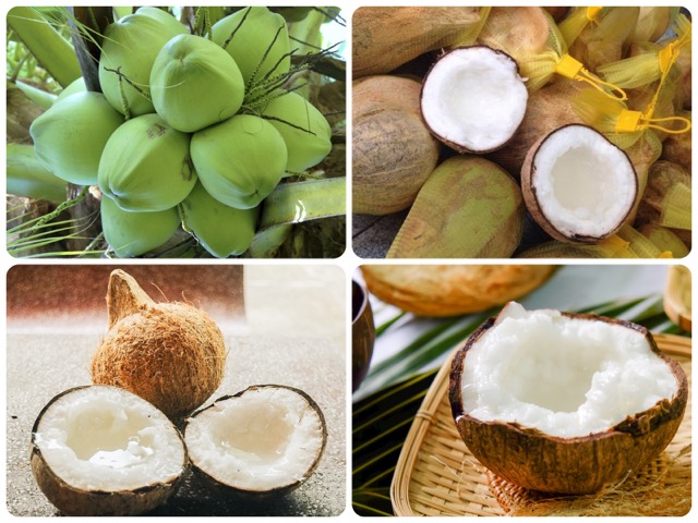 Die weiche und cremige Macapuno-Kokosnuss sorgt für köstliche und aromatische Bonbons