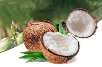 Macapuno is very rare in Vietnam because its natural occurrence rate is extremely low