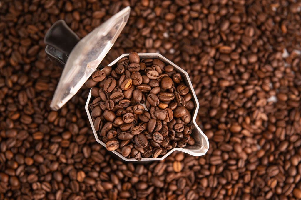 Detaillierte Anleitung, wie man Kaffee mit dem richtigen Röstgrad erkennt und auswählt