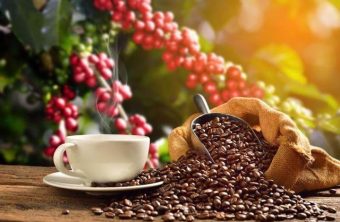 Geröstete Kaffeebohnen: Was bestimmt wirklich den Geschmack?