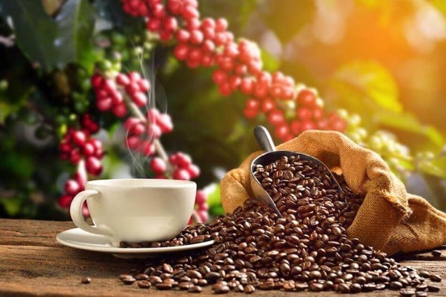 Geröstete Kaffeebohnen: Was bestimmt wirklich den Geschmack?