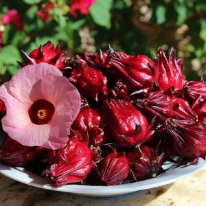 Grillsauce mit Rosellenblüte: Das Geheimnis für aromatische und besondere Ente aus dem Ofen zu Hause