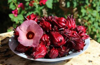 Grillsauce mit Rosellenblüte: Das Geheimnis für aromatische und besondere Ente aus dem Ofen zu Hause