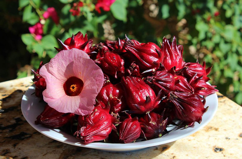 Grillsauce mit Rosellenblüte: Das Geheimnis für aromatische und besondere Ente aus dem Ofen zu Hause