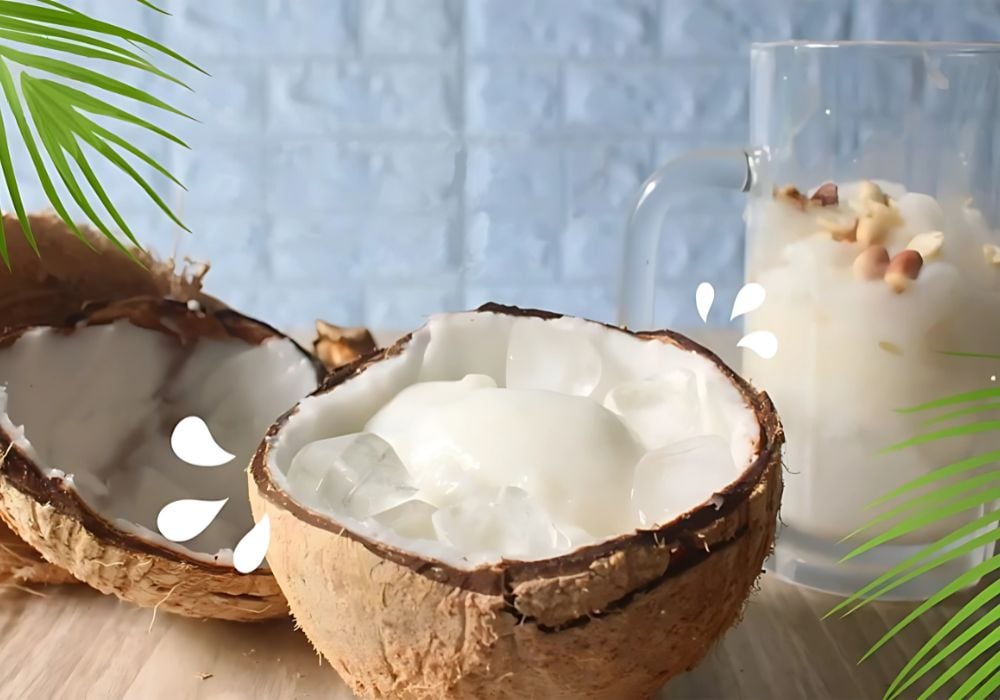 Macapuno-Smoothie: Wie man Macapuno aus der Dose fettreich und authentisch vietnamesisch zubereitet