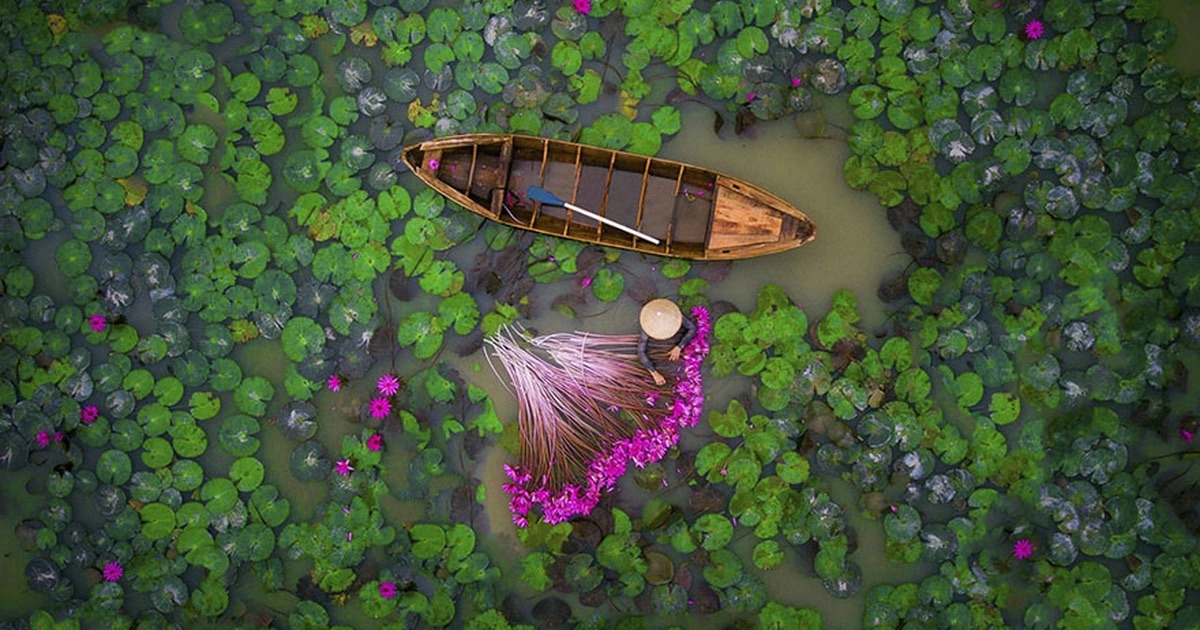 mekong-delta