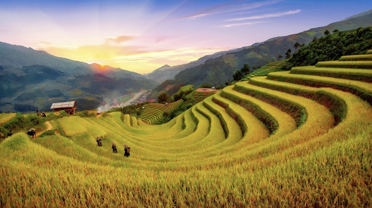 vietnam