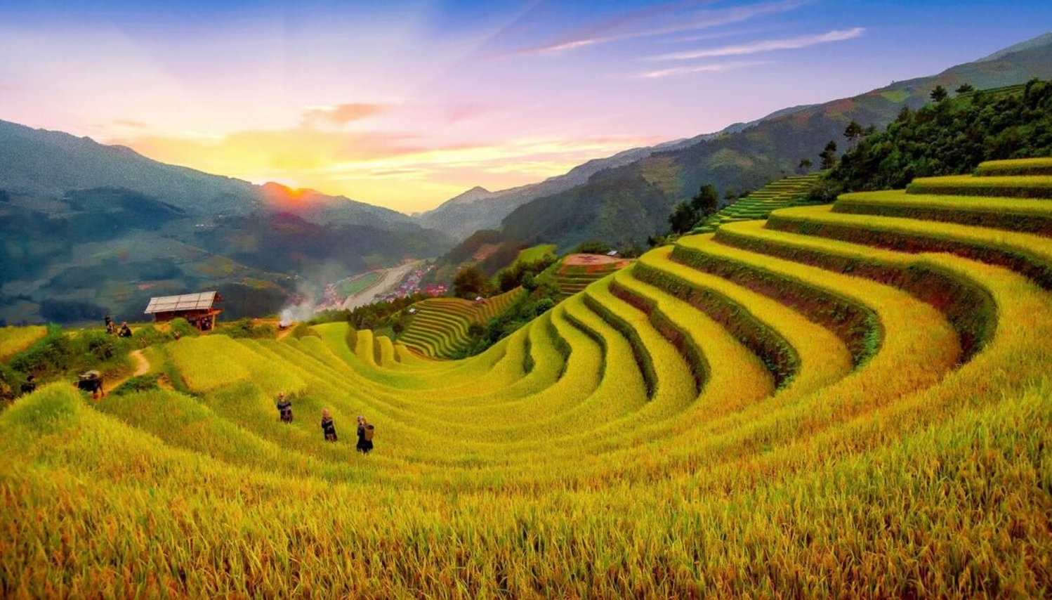vietnam