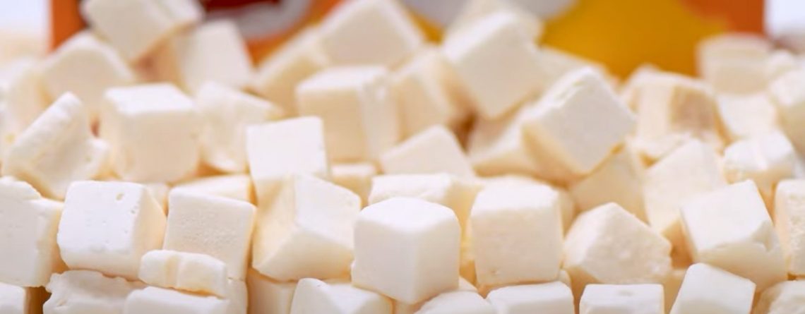 Was ist gefriergetrockneter Macapuno-Kokosjoghurt? Natürlicher cremiger Geschmack bewahrt