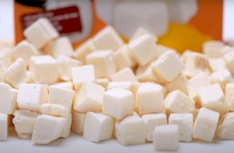 Was ist gefriergetrockneter Macapuno-Kokosjoghurt? Natürlicher cremiger Geschmack bewahrt