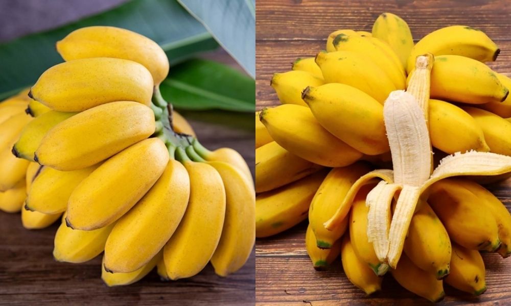 Bananenchips sind besonders, weil sie aus natürlich gereiften Bananen hergestellt werden