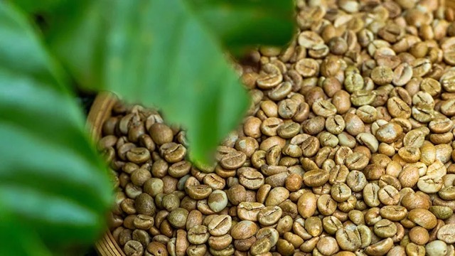 Nahaufnahme von Arabica-Kaffeebohnen nach dem Rösten