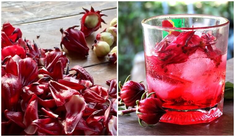 Entdecke viele kreative und besondere Genussmöglichkeiten mit Roselleblüten