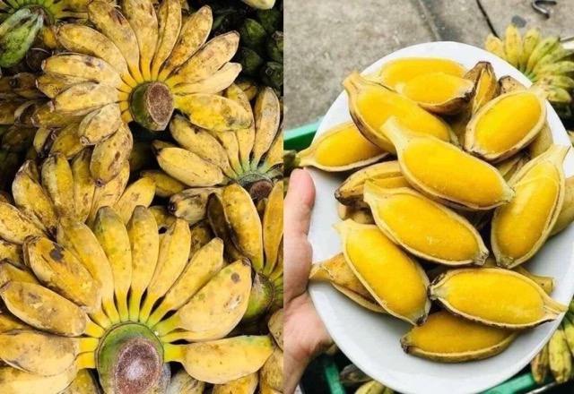 Wachsbananen überzeugen beim Genießen mit ihrer weichen, honigartigen und aromatischen Konsistenz