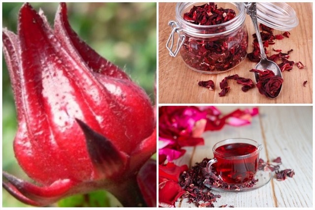 Rosellenblüten können zu zahlreichen Speisen und Getränken verarbeitet werden.