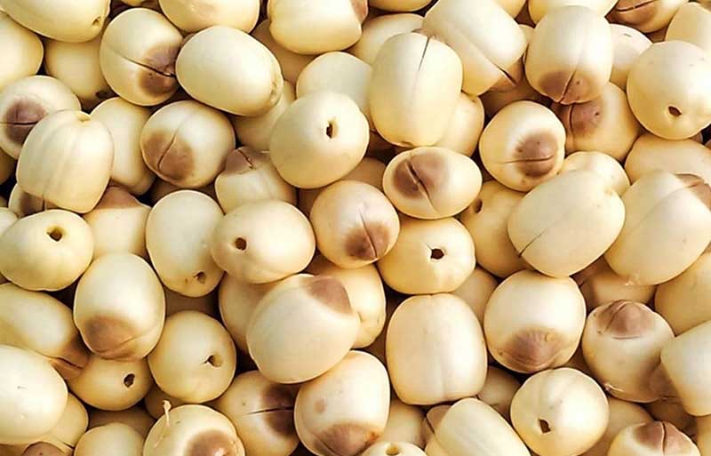 Pflanzliche Snacks liefern Ballaststoffe und lassen sich bequem überallhin mitnehmen