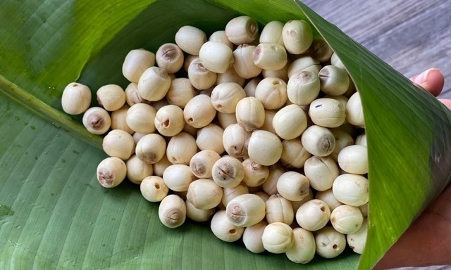 Lotuskerne mit Kokosnuss in einer Schale