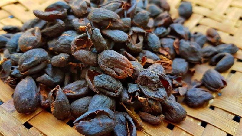 Cascara – eine Alternative zu Kaffee mit einem moderateren Koffeingehalt