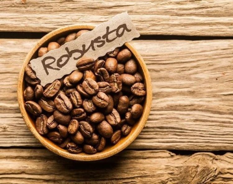 Robusta ist aufgrund seines charakteristischen Geschmacks bei vielen Cafés besonders beliebt.