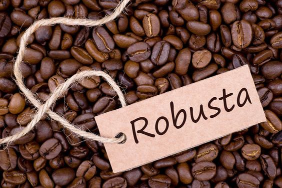 Dunkel geröstete Robusta-Bohnen sorgen für eine kräftige, unverwechselbare Tasse Kaffee mit intensivem Geschmack.