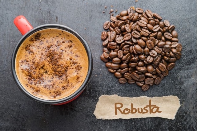 VietNatur Robusta-Kaffee – kräftig und vollmundig im Geschmack.