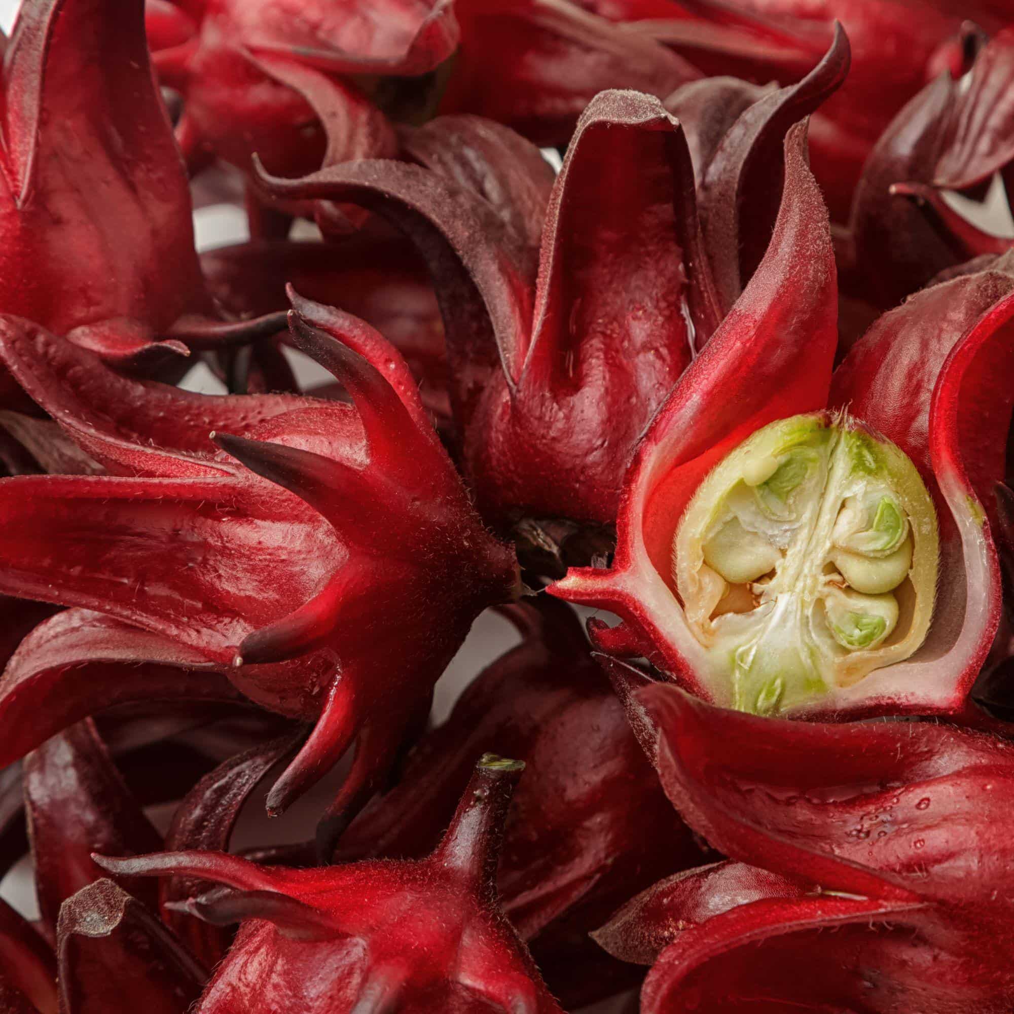 Rosellenkelche – die pflanzliche Zutat, aus der dieser Snack hergestellt wird