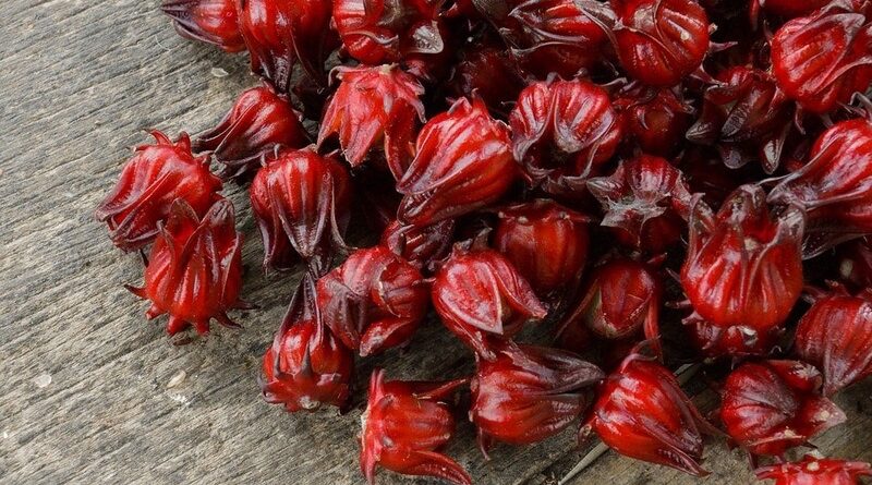 Kandierte Hibiskusblüten: Klug naschen