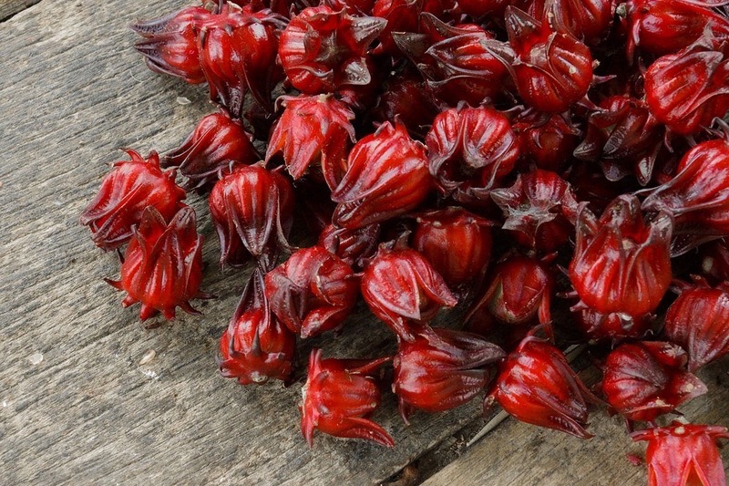 Kandierte Hibiskusblüten: Klug naschen
