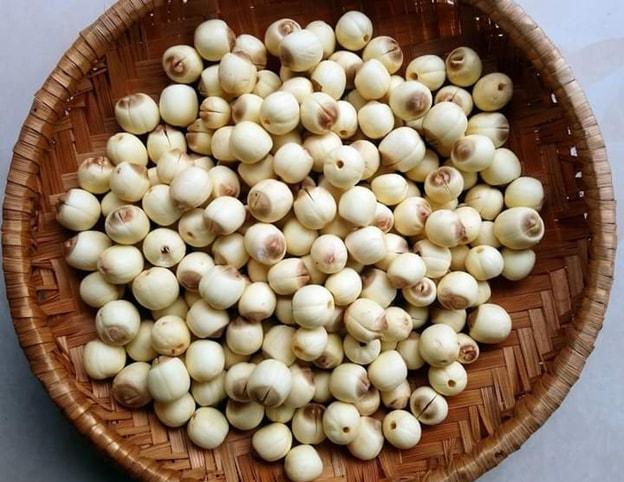 Frische Lotussamen sind eine traditionelle Zutat vieler vietnamesischer Gerichte