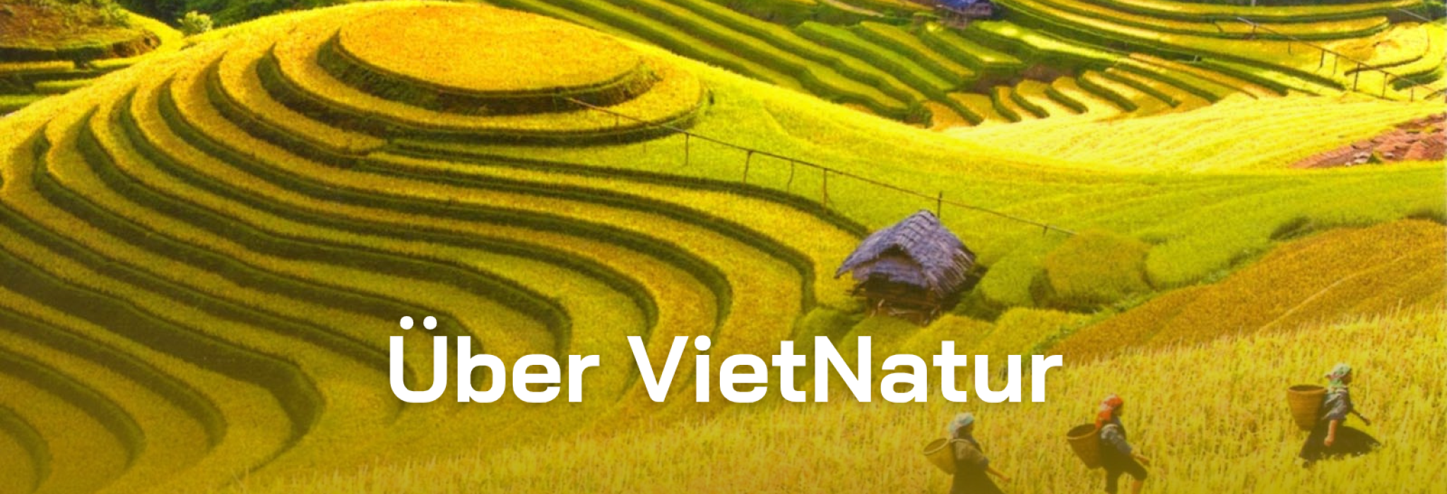 uber-viet-natur
